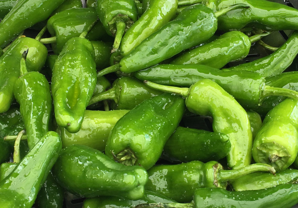 Pimientos de Padron