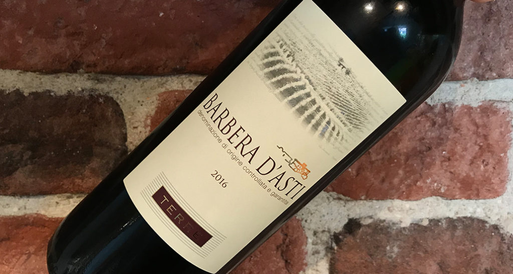 Terre Barbera d'Alba -Ungt och prisvärt från Piemonte