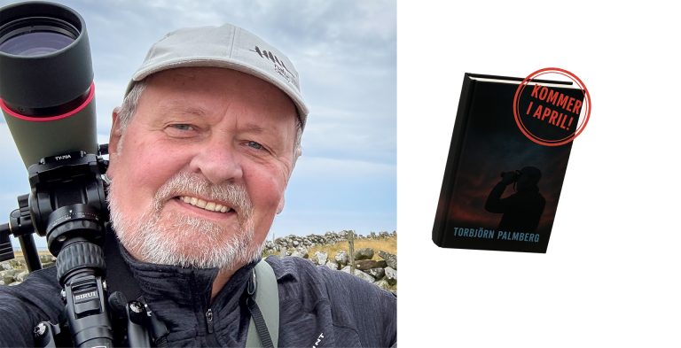 Följ min författarresa -från manus till färdig bok