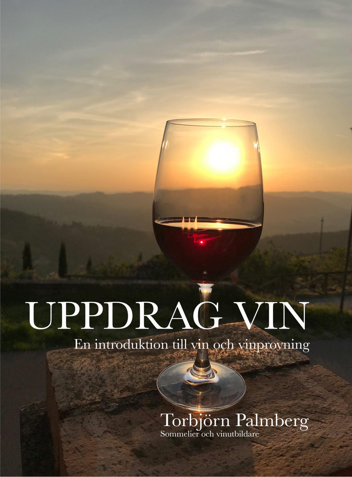 Uppdrag vin av Torbjörn Palmberg