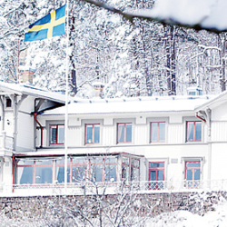 Albert kök vinter
