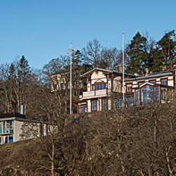 Albert Kök
