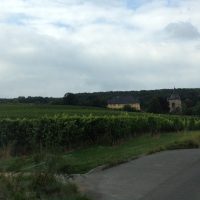 Schloss Vollrads Schloss Vollrads