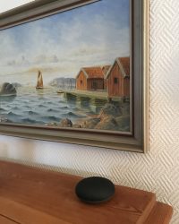 Google Home -placering Google Home -placering